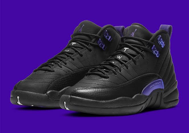 Air Jordan 12 Dark Concord