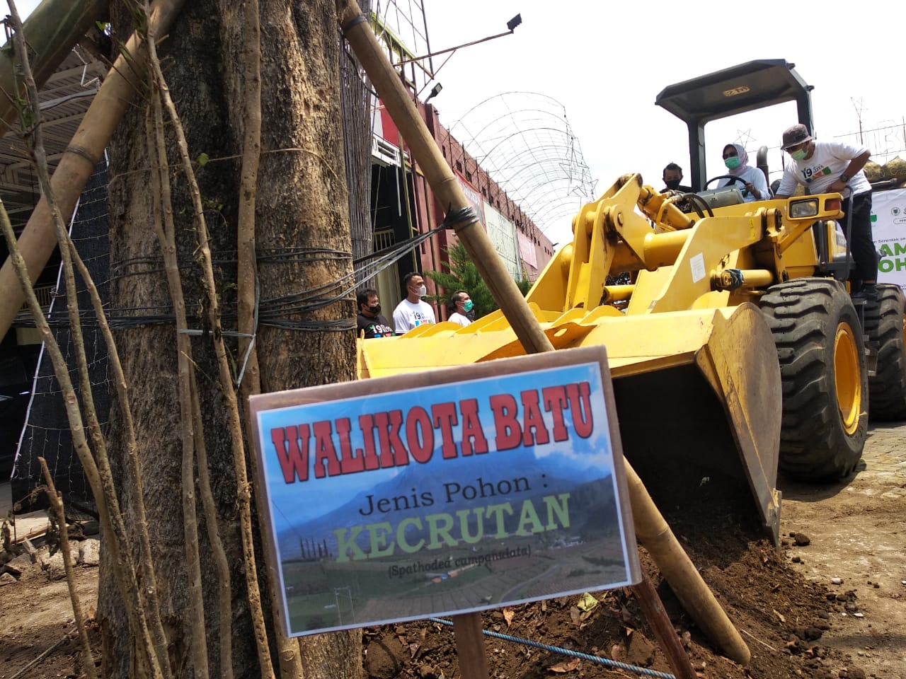 Wali Kota Batu Dewanti Rumpoko Tanam Pohon