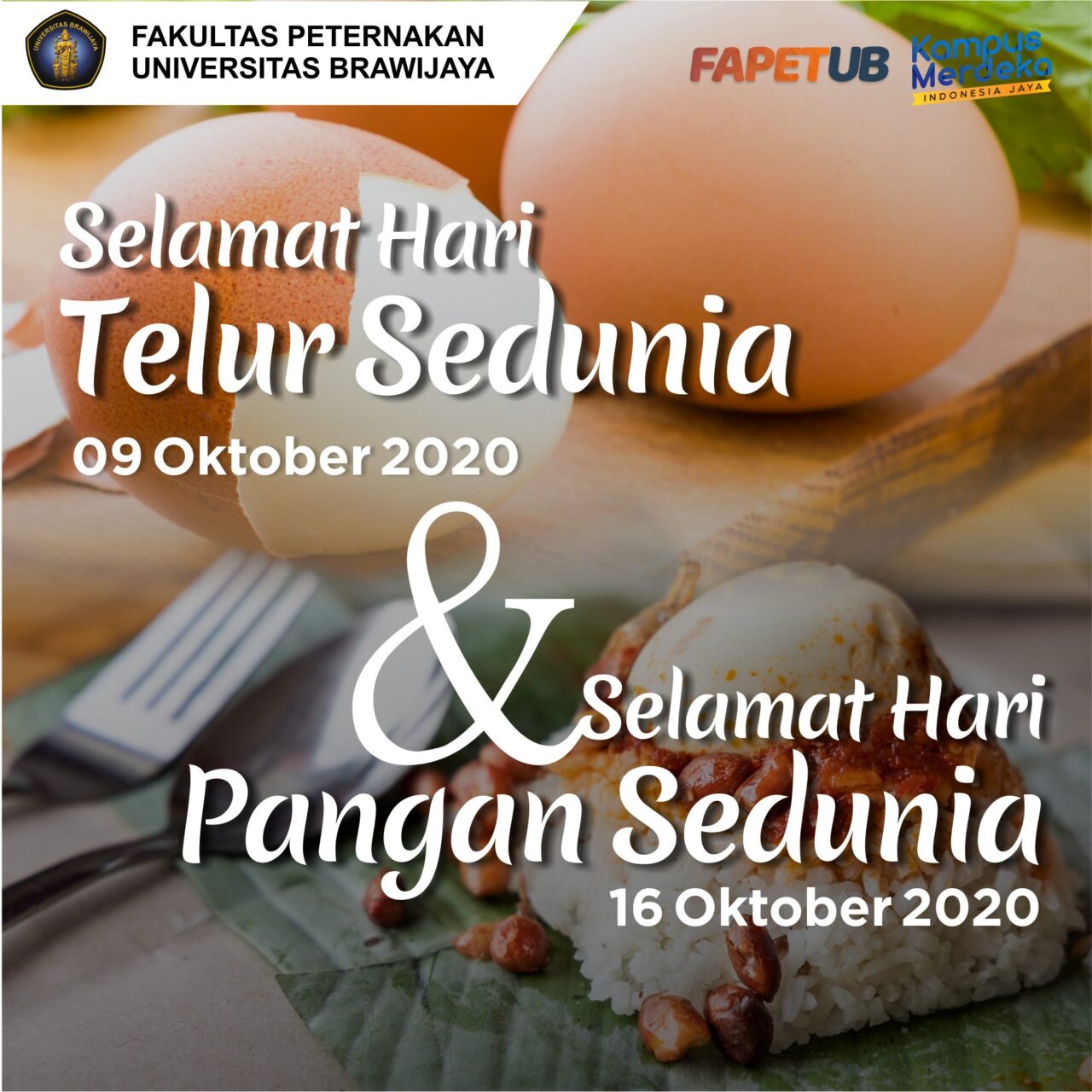 Peran Telur di Hari Pangan Sedunia