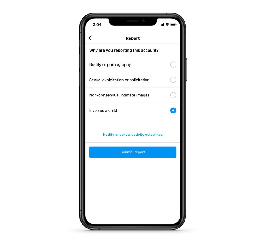 Screenshot of child exploitation report