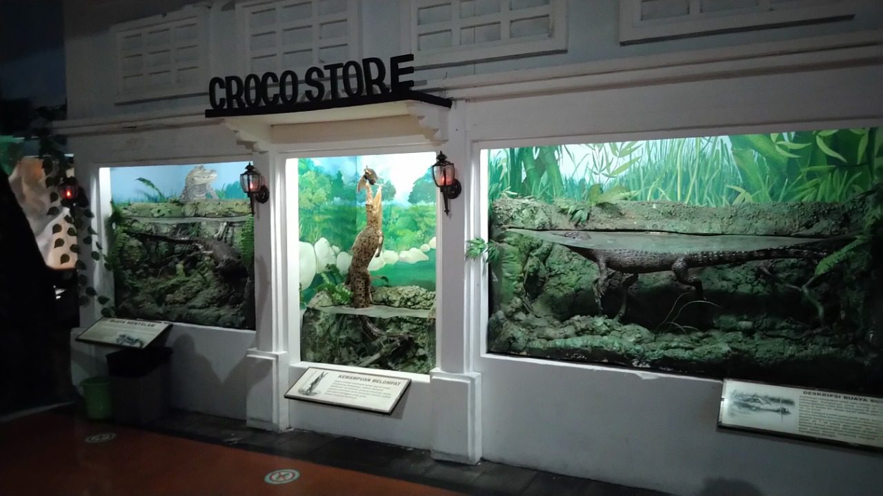 Croco Store