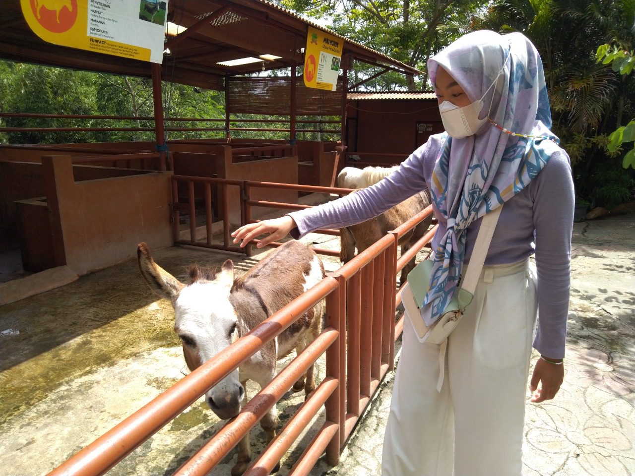 Keledai koleksi Predator Fun Park