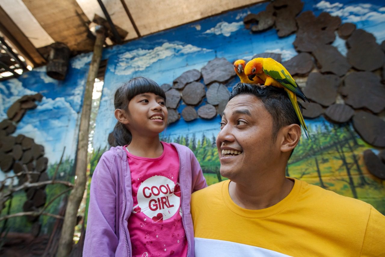 Burung Beo koleksi Eco Green by Jatim Park 2