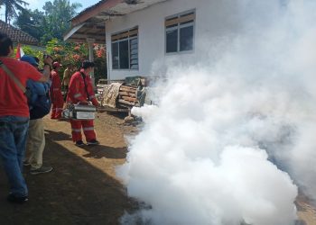 Petugas PMI Jember ketika melakukan pengasapan di Desa Sidomulyo, Kecamatan Semboro, Jember, Jum'at (12/8/2022)