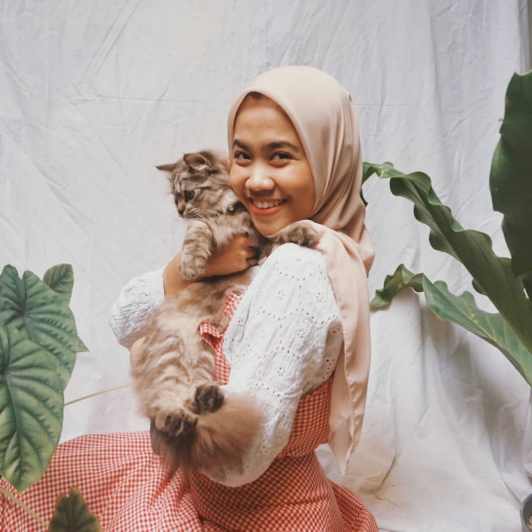Kucing Mati Malang Cat Lovers