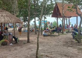 Pantai Cemara dengan suasana yang asri berkat polesan KUB Sekar Arum Dusun Pancer yang didukung PT BSI menjadi destinasi baru Desa Sumberagung, Kecamatan Pesanggaran.