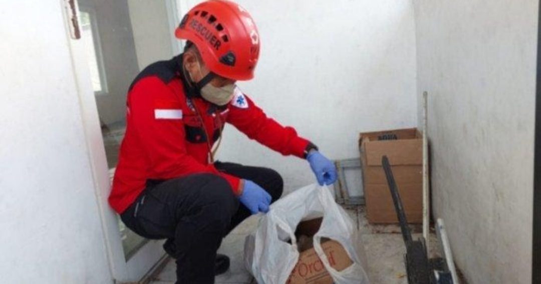 Penemuan Bayi Perempuan Kota malang Polehan Tak Bernyawa