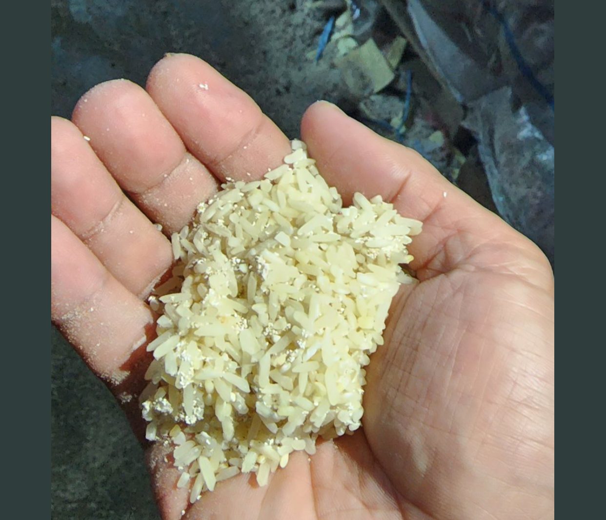 Dugaan Korupsi Beras Bansos