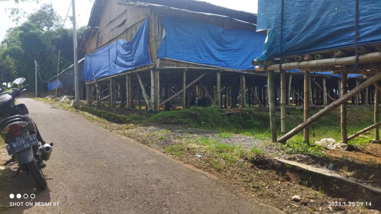 Kandang Ayam yang diduga menjadi sumber datangnya lalat yang menyerbu rumah warga Dusun Krajan, Desa Biting, Kecamatan Arjasa, Kabupaten Jember. (Yasir/blok-a.com)