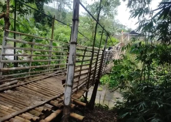 Jembatan gantung yang jadi penghubung dua desa di Banyuwangi kondisinya tidak layak dilalui (blok-a/Kuryanto)