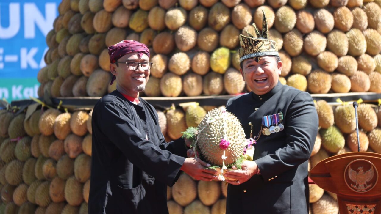 Durian jember