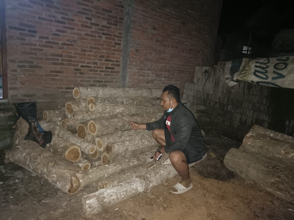 Hasil tebangan kayu ilegal. (dokumen Polsek Purwoharjo)