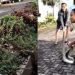 ibu-ibu menangkap ular