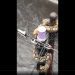 Viral Video Ular Melilit Tiang Listrik di Kota Malang, Warganet: Ngeri