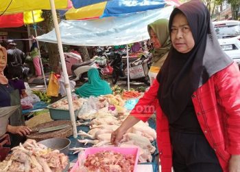 Riskiati pedagan daging ayam ras dan ayam kampung di Pasar Daerah/Pasar tradisonal kelas 2 Glenmore, Selasa (21/3/2023).(blok-a.com/Kuryanto)