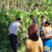 Lokasi bayi yang ditemukan dalam keadaan mengenaskan di Dusun Gunung Gebang, Desa Karangsari, Kecamatan Bantur, Kabupaten Malang pada Senin (29/05/2023).(Humas Polres Malang for Blok-a.com)