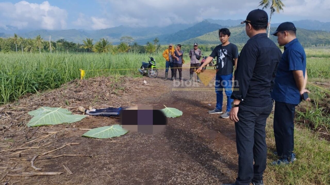 Kapolsek Silirigung, Banyuwangi AKP Mujiono bersama anggota saat melakukan olah TKP dan memasang garis pengaman di lokasi perkelahian/carok, di Afdeling Sumber Manggis petak 12, desa Barurejo, kecamatan Siliragung, Kamis (4/5/2023).(blok-a.com/Kuryanto)