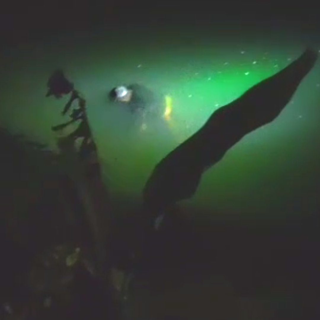 Tangkapan mayat mengapung di sungai Genteng Kecamatan Dampit Kabupaten Malang (source: tangkapan layar dari video warga)