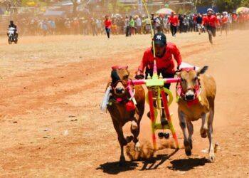 Madura Bull Race Championship