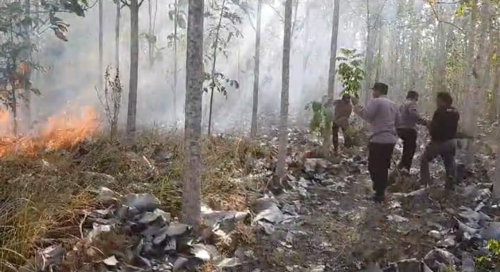 Kapolsek Purwoharjo, Banyuwangi, AKP Budi Hermawan bersama anggota, saat memadamkan titik api menggunakan alat seadanya pada peristiwa kebakaran yang terjadi di lahan hutan produksi Perhutani KPH Banyuwangi selatan, Rabu (18/10/2023).(dok. Polsek Purwoharjo untuk blok-a.com)