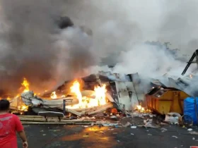 Kebakaran Hebat, Hanguskan TPST dan Kandang Berisi 150 Ayam di Singosari Malang
