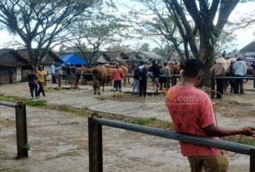Suasana di Pasar Hewan Glenmore, Banyuwangi.(blok-a.com/Kuryanto)
