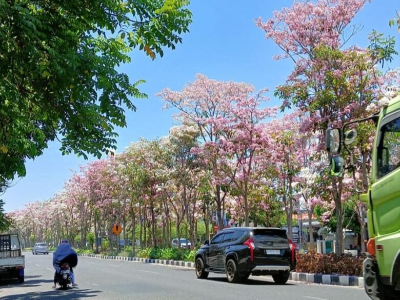 source: doc tegar putra