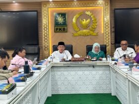 Audiensi Aliansi Masyarakat Adat Nusantara dengan Fraksi PKB DPR RI.