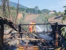 15 Kambing Ikut Hangus dalam Kebakaran Kandang di Kota Batu