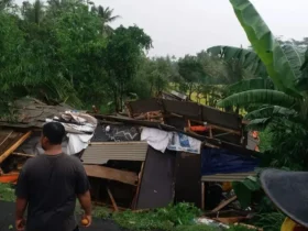 Hujan angin robohkan kandang ayam di Dusun Mendalan Kulon, Desa Mendalanwangi, Wagir, Kabupaten Malang.