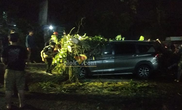 Proses evakuasi pohon tumbang dekat exit tol Singosari, Kabupaten Malang, Jumat (29/11/2024). (blok-a.com/Agus)