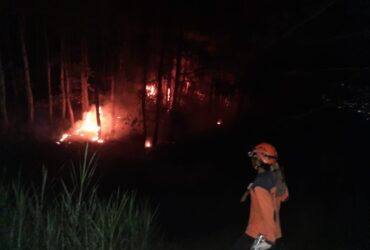 Kebakaran di Kawasan Hutan Lindung Kota Batu, Ini Penyebabnya