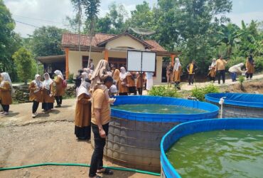 Pemerintah Desa Bunderan Sidayu saat melakukan pelatihan budidaya ikan lele dengan metode Bioflok, di Pusat Budidaya Ikan Lele Mina Mulia, Gunungkidul, Jawa Tengah.