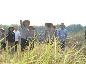 Kapolres Mojokerto AKBP Ihram Kustarto saat pembukaan lahan pertanian Jagung di Desa Menanggal, Kecamatan Mojosari.(dokumen Polres)