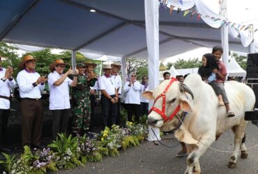 Kontes dan pameran ternak di Pasar Hewan Desa Kedungbondo, Kecamatan Balen, Bojonegoro, Rabu (20/11/2024).