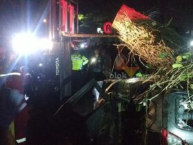 Proses evakuasi pohon tumbang dekat exit tol Singosari, Kabupaten Malang, Jumat (29/11/2024).