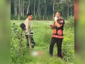 Polisi melakukan olah TKP di area persawahan Dusun Dawuhan, Desa Sukosari, Kecamatan Gondanglegi, Kamis (7/11/2024) (Andik Agus/Blok-a.com)