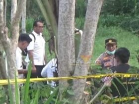 Penemuan mayat anak perempuan di Dusun Barurejo, Desa Kalibaru Manis, Kecamatan Kalibaru, Rabu (13/11/2024).(blok-a.com/Kuryanto)