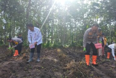 Kerja Bareng Polresta Malang Kota dan Dispangtan, Lahan Tidur Ditanami Jagung