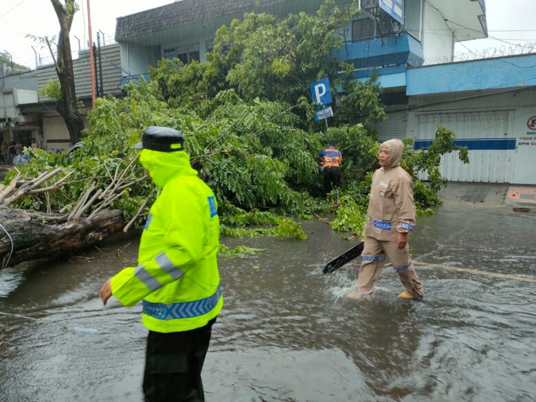 Caption: Personil Polresta Banyuwangi, bersama TNI, BPBD Banyuwangi, serta dinas terkait dan warga, berkolaborasi melakukan evakuasi pohon tumbang yang menutupi akses Jalan Raya, Minggu (22/12/2024)