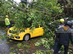Senin Pagi Diwarnai Pohon Tumbang Timpa 2 Mobil di Malang