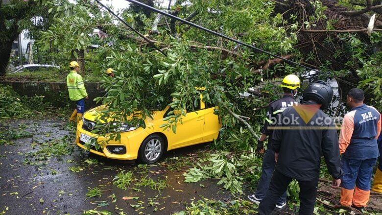 Senin Pagi Diwarnai Pohon Tumbang Timpa 2 Mobil di Malang