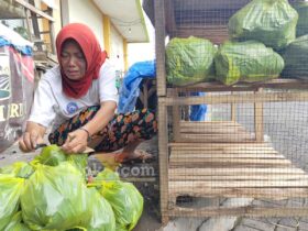 Penjual arang di Pasar Sumedang, Kecamatan Kepanjen, Kabupaten Malang mulai menjamur menjelang pergantian tahun (blok-a.com/ Putu Ayu Pratama S)