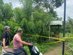 Kabupaten Malang, blok-a.com - Kematian wanita tanpa busana di gubuk area persawahan di Desa Jenggolo, Kecamatan Kepanjen, Kabupaten Malang, Selasa (17/12/2024) masih misteri.