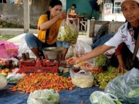Harga cabai rawit di Banyuwangi melonjak saat libur panjang Nataru. (blok-a.com/Kuryanto)