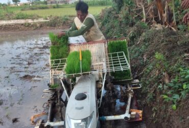 Uji coba mesin penanam padi Tran SPANTER AP 4 Yanmar.