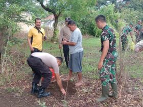 Penanaman pohon sukun di lingkungan Asrama Kodim 0823 Situbondo, Jumat (6/12/2024).