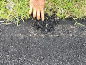 Tangkapan layar video kondisi proyek pengaspalan jalan di Dusun 2 Ringintelu, Desa Ringintelu, Banyuwangi, yang dikeluhkan warga setempat, Selasa (31/12/2024).(blok-a.com/Kuryanto)