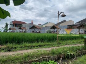 View sawah dan gubuk untuk makan di Waroeng Tandon (blok-a/Bob Bimantara Leander)