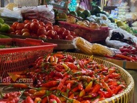 Harga cabai rawit di Pasar Kepanjen, Kabupaten Malang melonjak saat cuaca ekstrem (blok-a.com/ Putu Ayu Pratama S)
